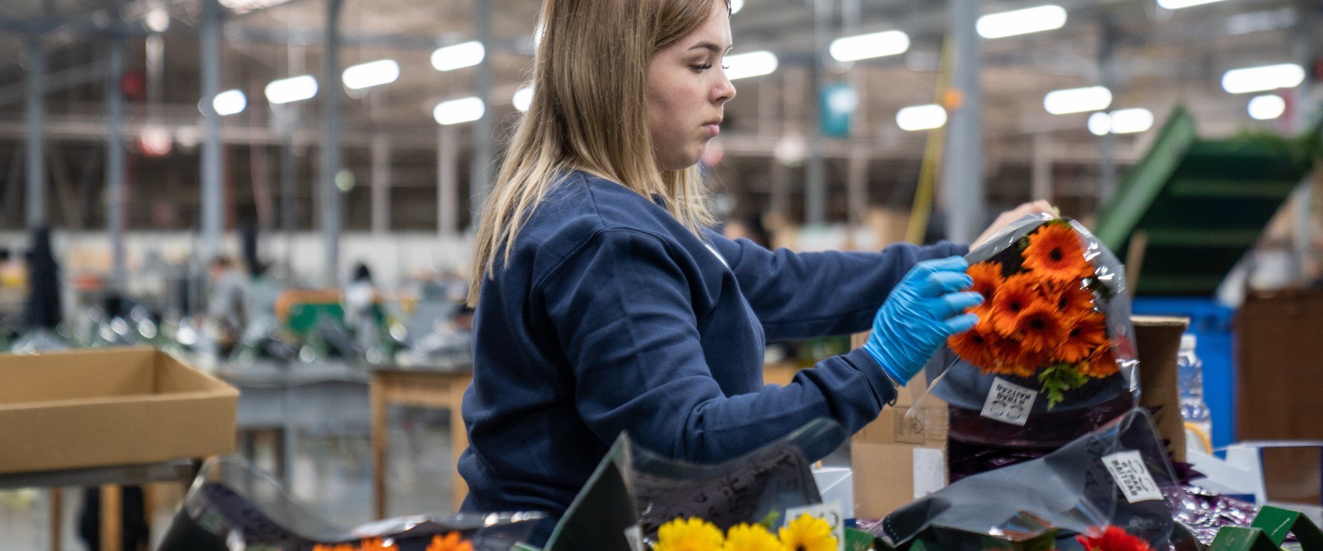 Medewerker verpakt bloemen in een magazijn van een bloemenbedrijf
