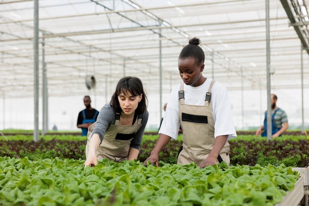 diverse-women-working-in-greenhouse-checking-plant-2025-02-19-06-11-32-utc